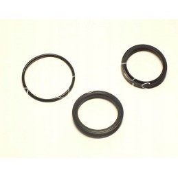 Neptun Si tank actuator seal set