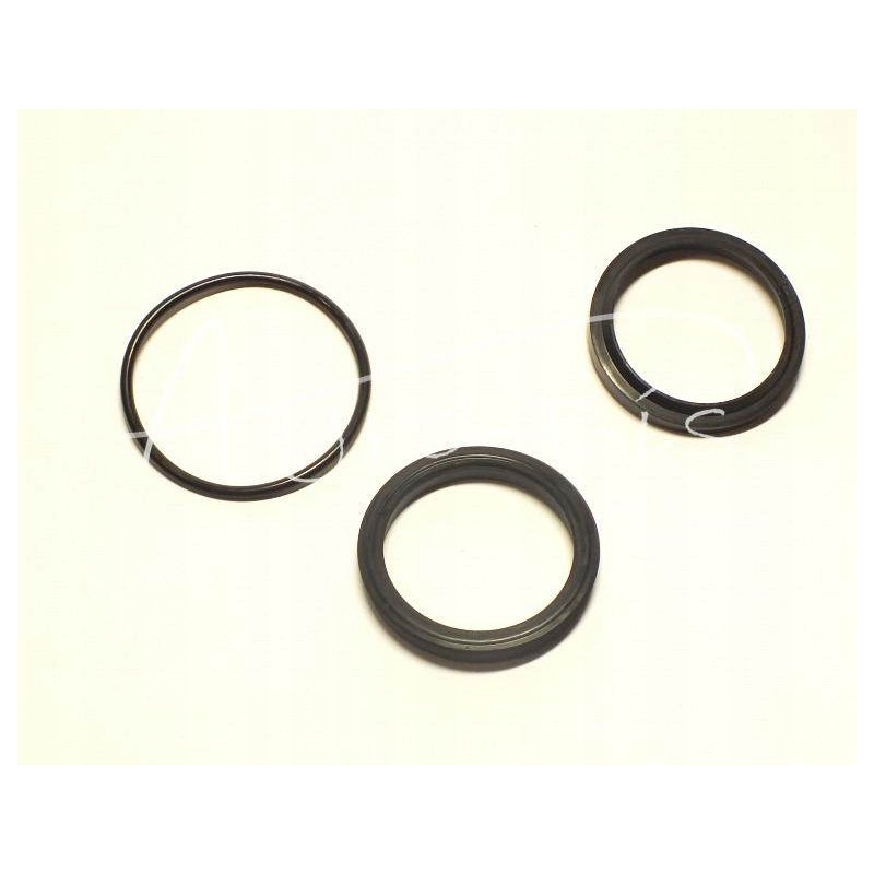 Neptun Si tank actuator seal set