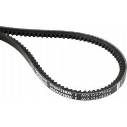 Toothed V-belt Avx 10 750mm Avx10750 optibel