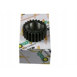 Satellite of the mf4 reducer mechanism