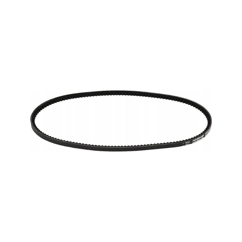 Toothed V-belt Avx 10 900mm Avx10900 optibel