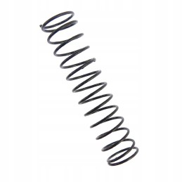 Valve spring C 385 Archimedes