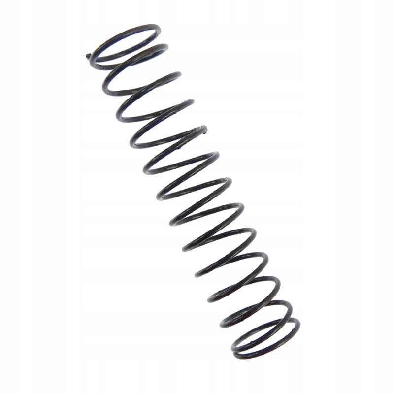 Valve spring C 385 Archimedes