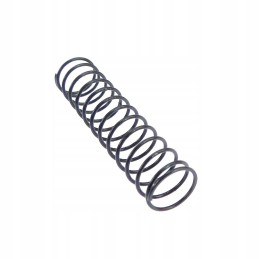 Valve spring C 385 Archimedes