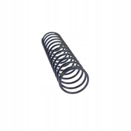 Valve spring C 385 Archimedes
