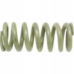 Suspension spring 65755113649 agtech