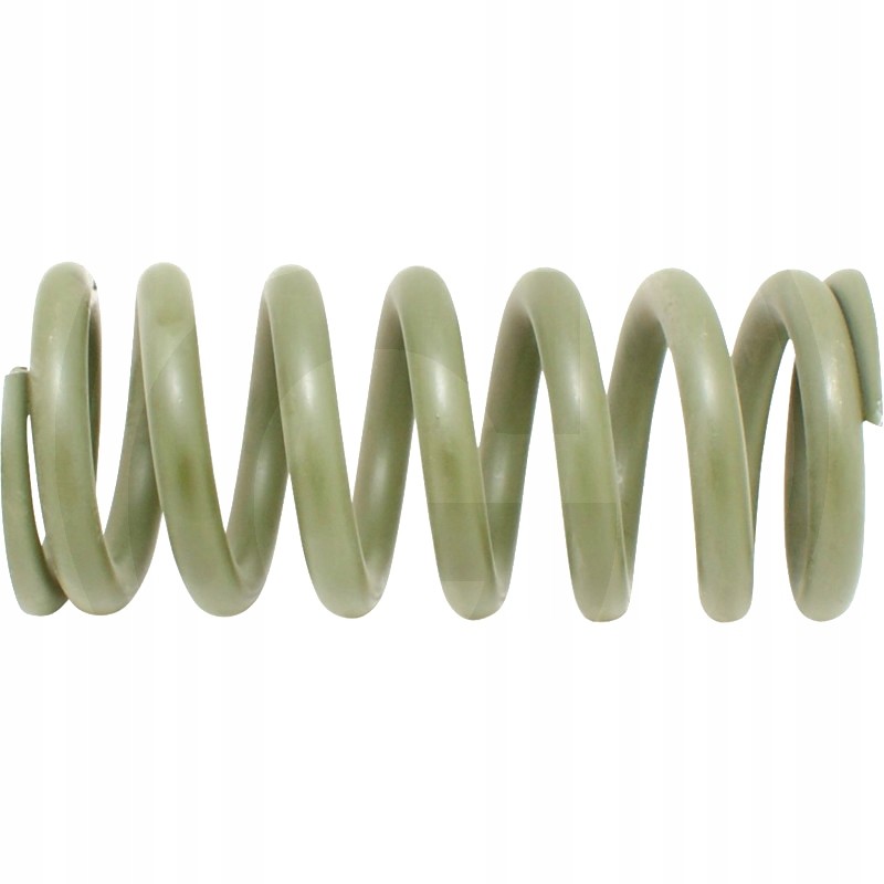 Suspension spring 65755113649 agtech