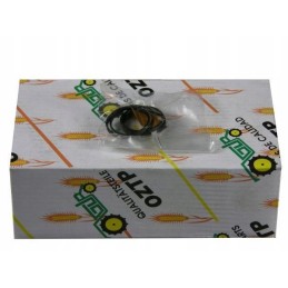 Lifter piston ring mf3 mf4