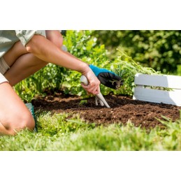 Pastel ergo meringue forks used for loosening
