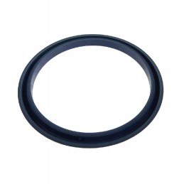 Lifter piston seal ring un67 2x8