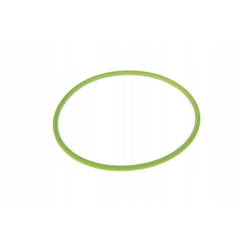 F155940010030 hydraulic pump seal