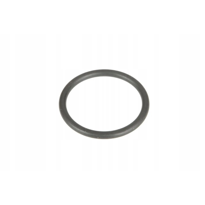 V614602324 water pump o-ring