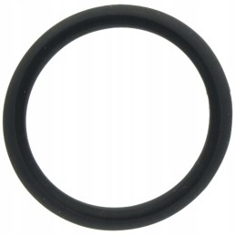 Seal ring deutz fendt 01183405 f836