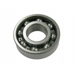 Bearing 6206