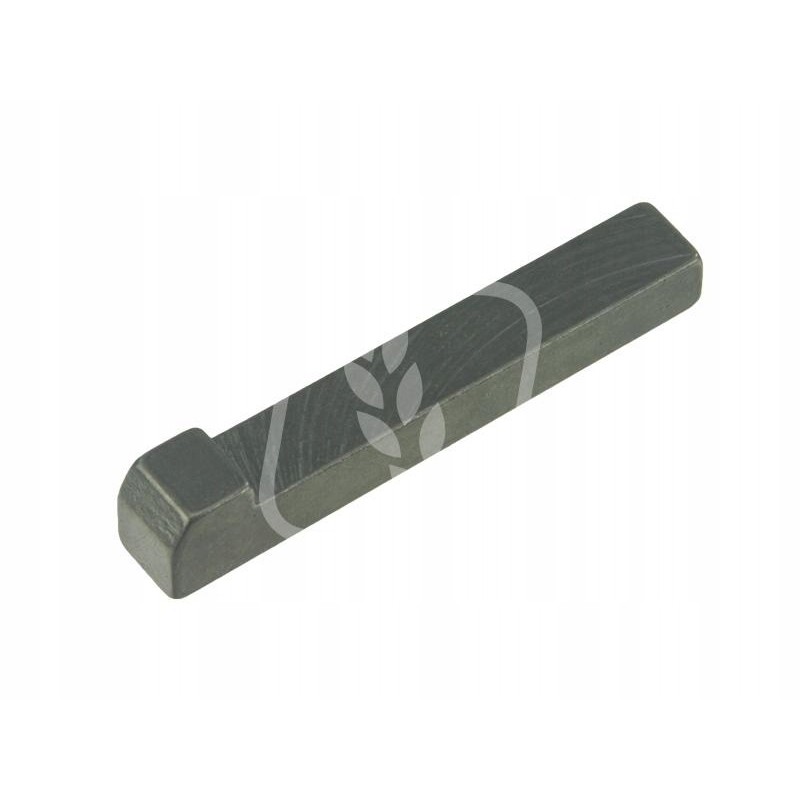 Keyway key 244802