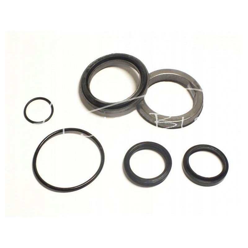Neptun control actuator seal set