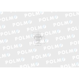 Thermostat 2485613 Landini Polmo