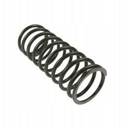 Internal valve spring c 360 50505070 ursus