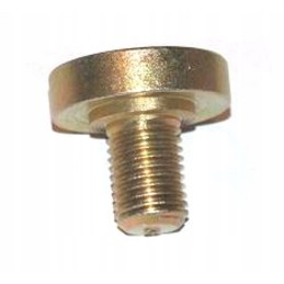 Special screw p 20 p 40