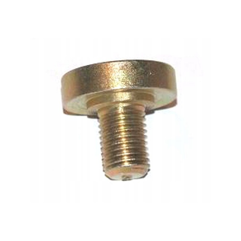 Special screw p 20 p 40