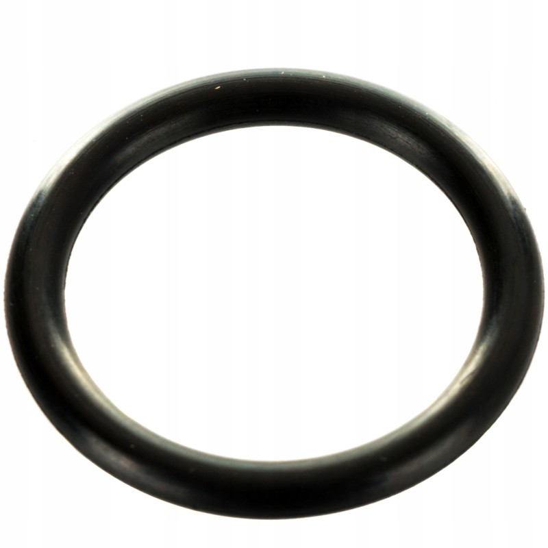 Oring Renault Claas 6005018621