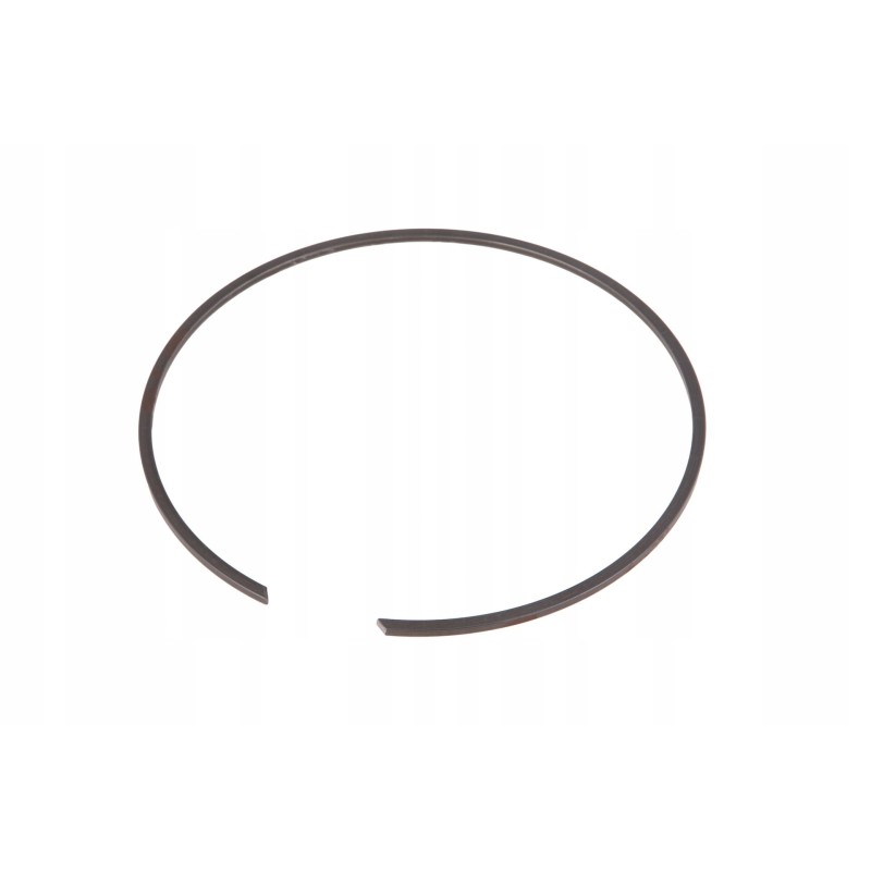 F824100100260 expansion retaining ring