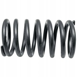 Internal valve spring Ursus C 360 C 355
