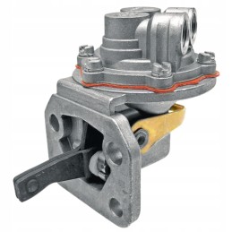 Perkins Granite Diaphragm Feed Pump