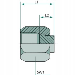 Plug plug AV BSP G 9 16 internal thread