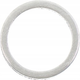 Massey Ferguson injector washer 747139m1