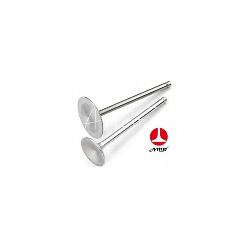 Exhaust valve case d179 paradowscy 3055056r1