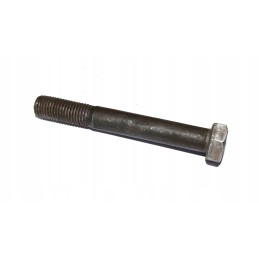 M12 40 screw