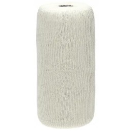 Donaldson P550541 fuel filter insert