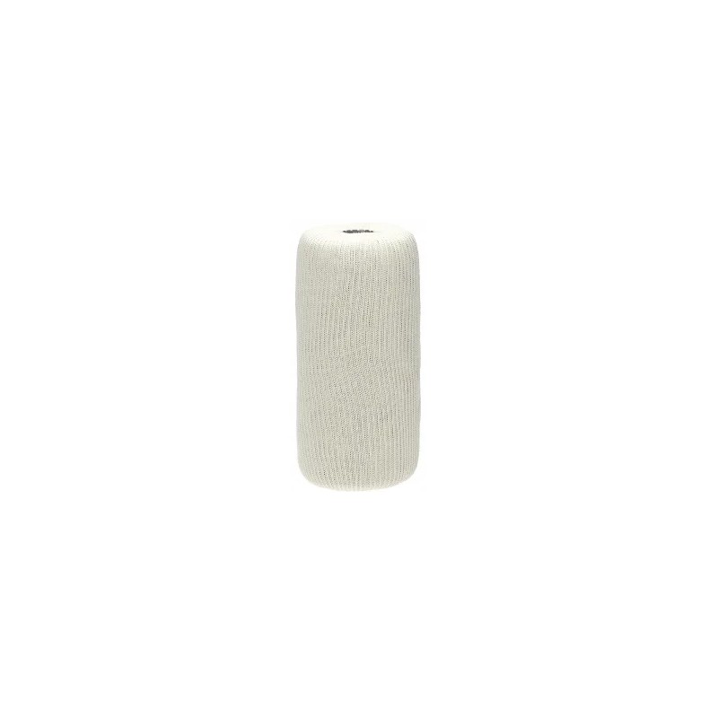 Donaldson P550541 fuel filter insert