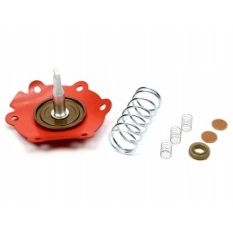 Feed pump repair kit 47pmo4r mf4 o