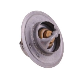 Thermostat 895311h1 david brown case polmo k208039