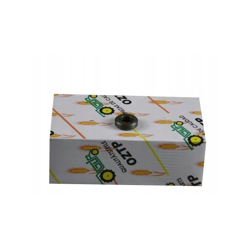 Deutz head bolt washer