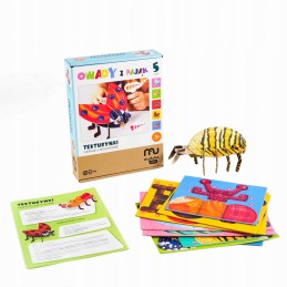 Spatial cardboard eco-puzzle with insects and a spider