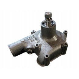 Spatial cardboard eco-puzzle with insects and a spider