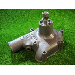 Spatial cardboard eco-puzzle with insects and a spider