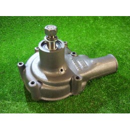 Spatial cardboard eco-puzzle with insects and a spider