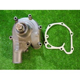 Spatial cardboard eco-puzzle with insects and a spider