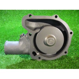 Spatial cardboard eco-puzzle with insects and a spider