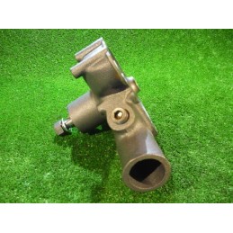 Spatial cardboard eco-puzzle with insects and a spider