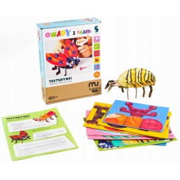 Spatial cardboard eco-puzzle with insects and a spider