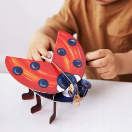 Spatial cardboard eco-puzzle with insects and a spider