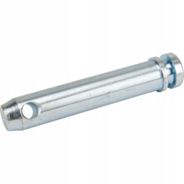 Standard pin 25x109 mm