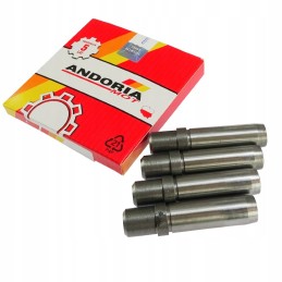 Valve guide t25 andoria mot packed