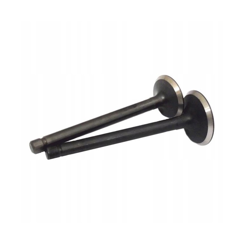 Kubota v2403 engine valve set, intake plus release