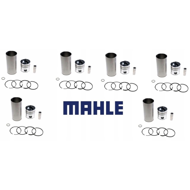 SW400 bizon leyland repair kit, set of 6 pcs